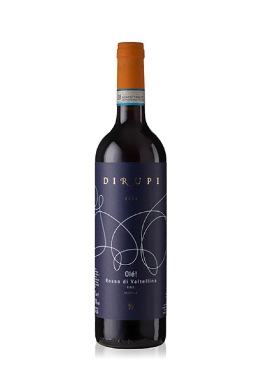 Rosso di Valtellina "Olé!" DOC 2024