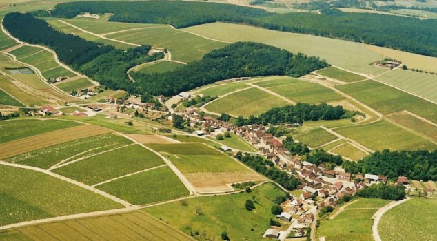 Jedinečná vína z Chablis